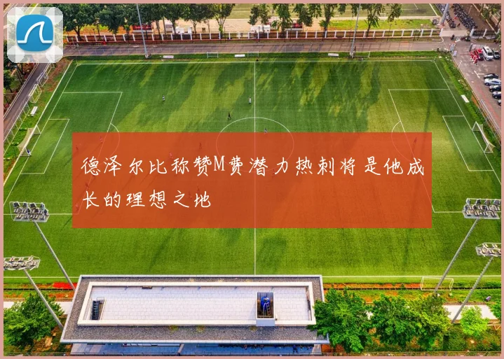 德泽尔比称赞M费潜力热刺将是他成长的理想之地