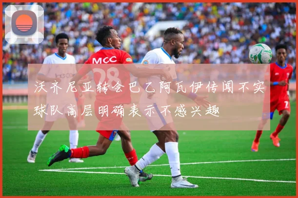 沃齐尼亚转会巴乙阿瓦伊传闻不实球队高层明确表示不感兴趣